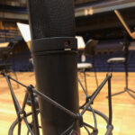 Neumann U 87 Ai inkl. EA 87 Mikrofonspinne